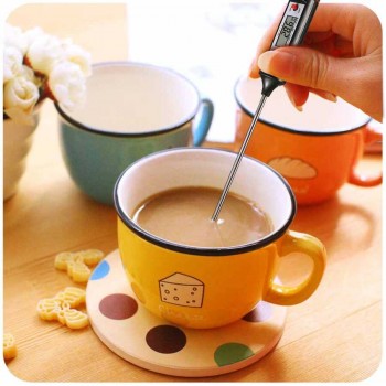 DİJİTAL GIDA TERMOMETRE DİJİTAL GIDA TERMOMETRE