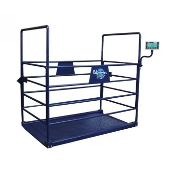 DİKOMSAN CHB (BÜYÜK BAŞ) CANLI HAYVAN BASKÜLÜ DİKOMSAN CHB (BÜYÜK BAŞ) CANLI HAYVAN BASKÜLÜ