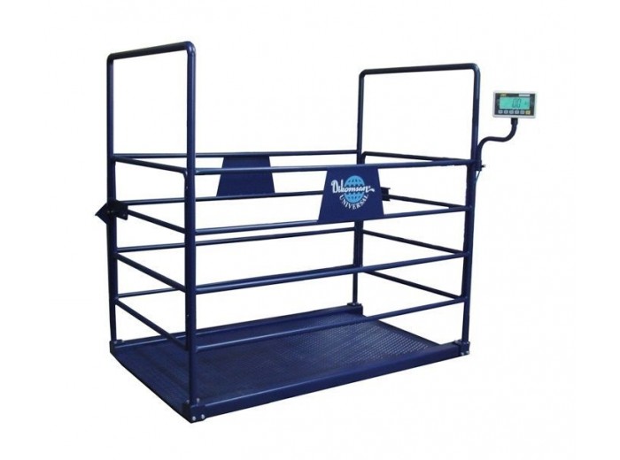 DİKOMSAN CHB (BÜYÜK BAŞ) CANLI HAYVAN BASKÜLÜ