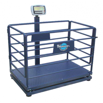 DİKOMSAN CHB (ORTA BAŞ) CANLI HAYVAN BASKÜLÜ DİKOMSAN CHB (ORTA BAŞ) CANLI HAYVAN BASKÜLÜ