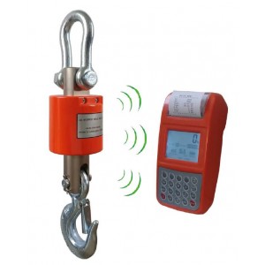 DİKOMSAN OCS-RP KABLOSUZ YAZICILI VİNÇ BASKÜL 10 TON