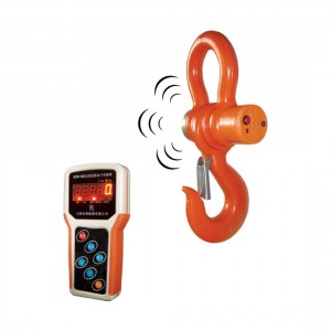 TEM KABLOSUZ VİNÇ BASKÜLÜ 10 TON